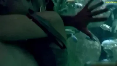 Секс стоя Эмми Россам в океанариуме в «Бесстыжих»